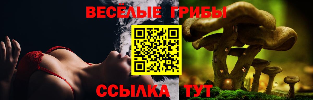 Ялта  Галлюциногенные грибы Cubensis  Вход с VPN 